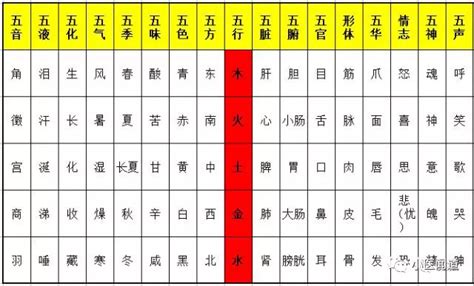 2023年五行屬什麼|2023年什麼命五行屬性 